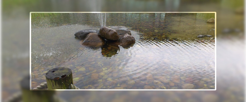Wasser